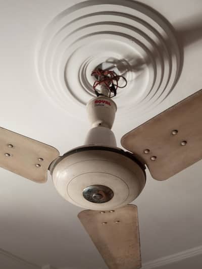 Royal Deluxe 56 Inch Fan