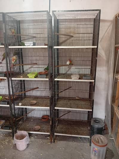 cages