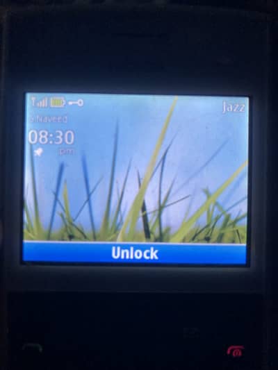 Nokia x2-03