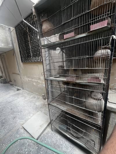 Portion Large Bird Breeding Cage with Pots (Matkiyan) for Sale