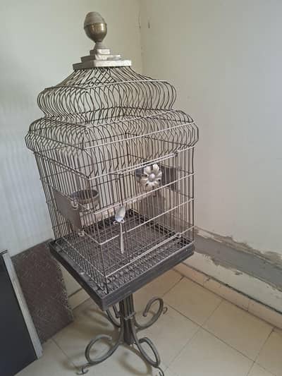 fancy cage