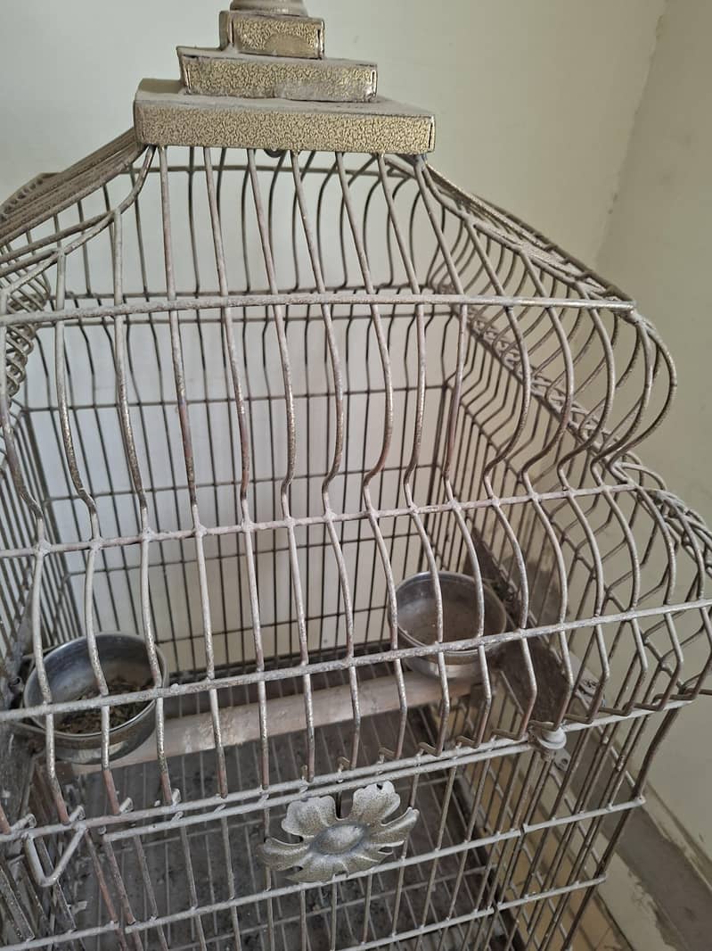 fancy cage 2