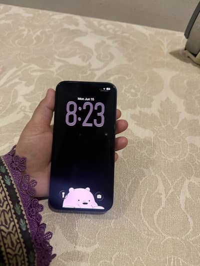 Apple iPhone 13