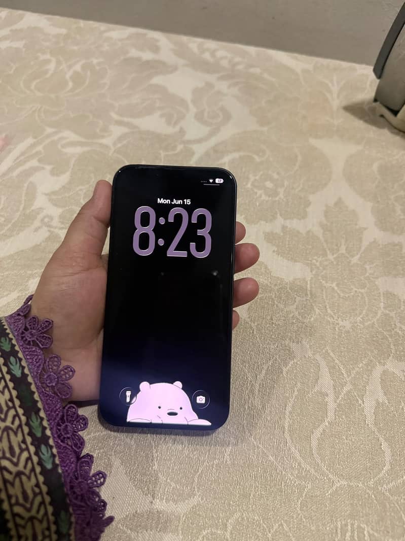 Apple iPhone 13 0