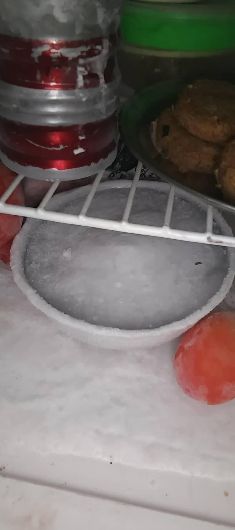 waves refrigerator 4