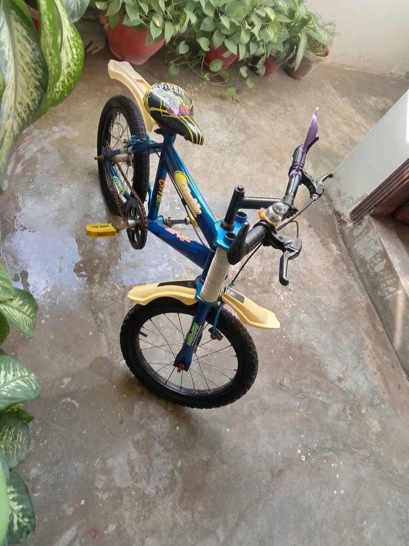 cycle 2