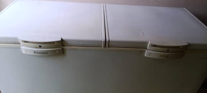 Waves Double Door Freezer