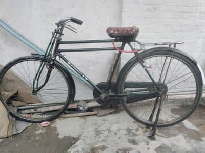 Phoenix china cycle