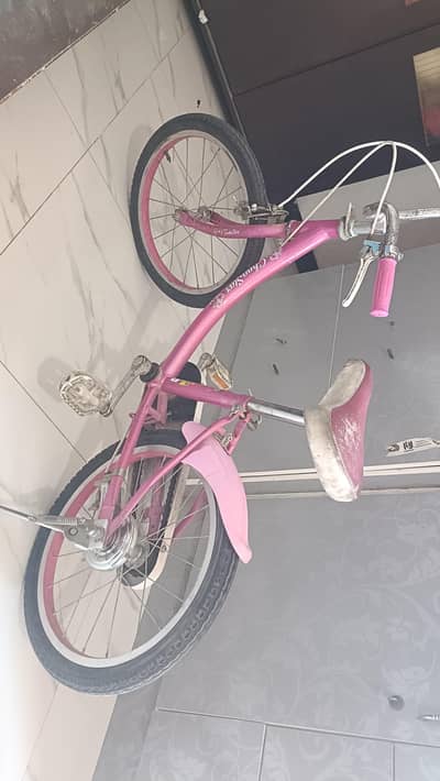bicycle for kids size 24 and 18