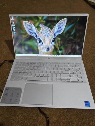 Dell Inspiron 5502 | Core i7 11th Gen | 24GB RAM | Dual NVMe SSDs