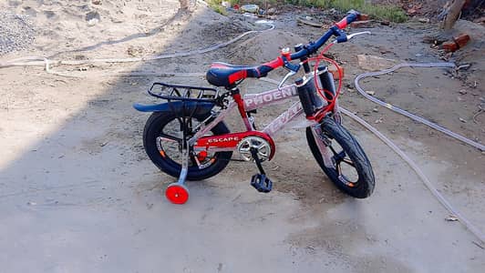 phoenix bicycle