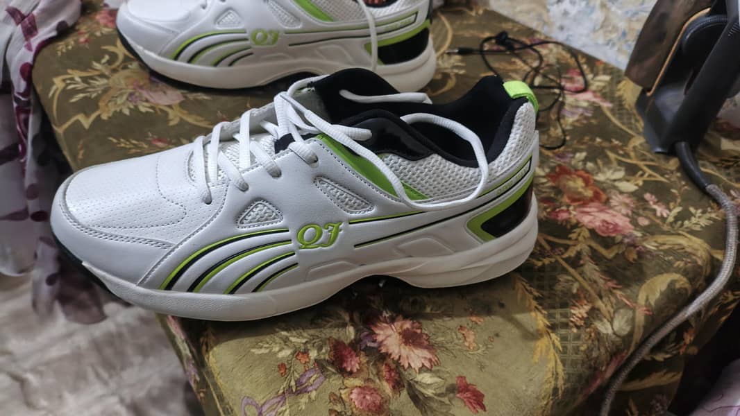shose 1
