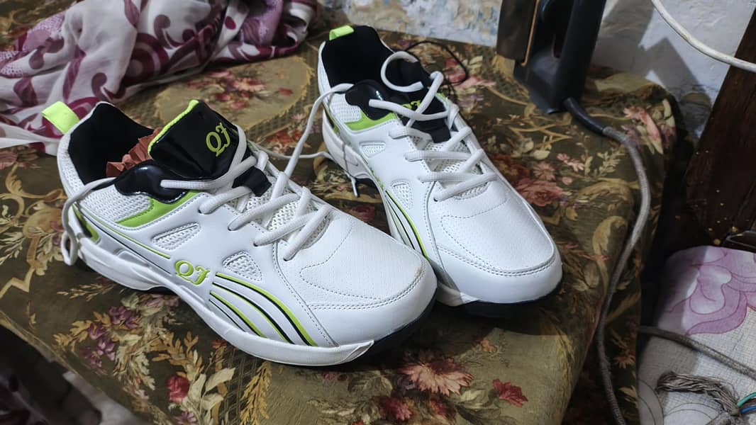 shose 3