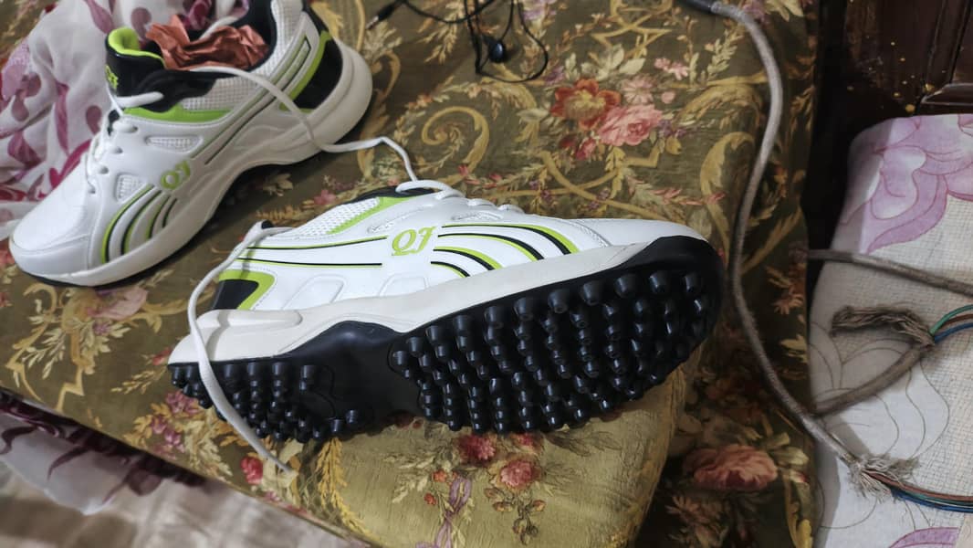shose 4