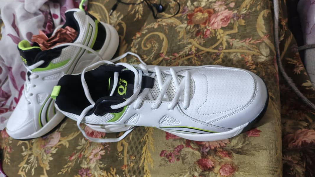 shose 5