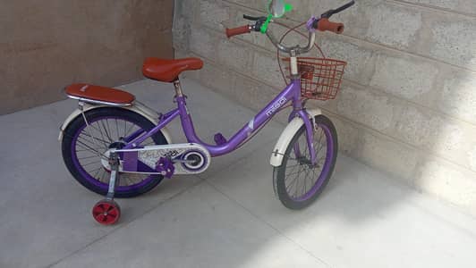 kids bicycle