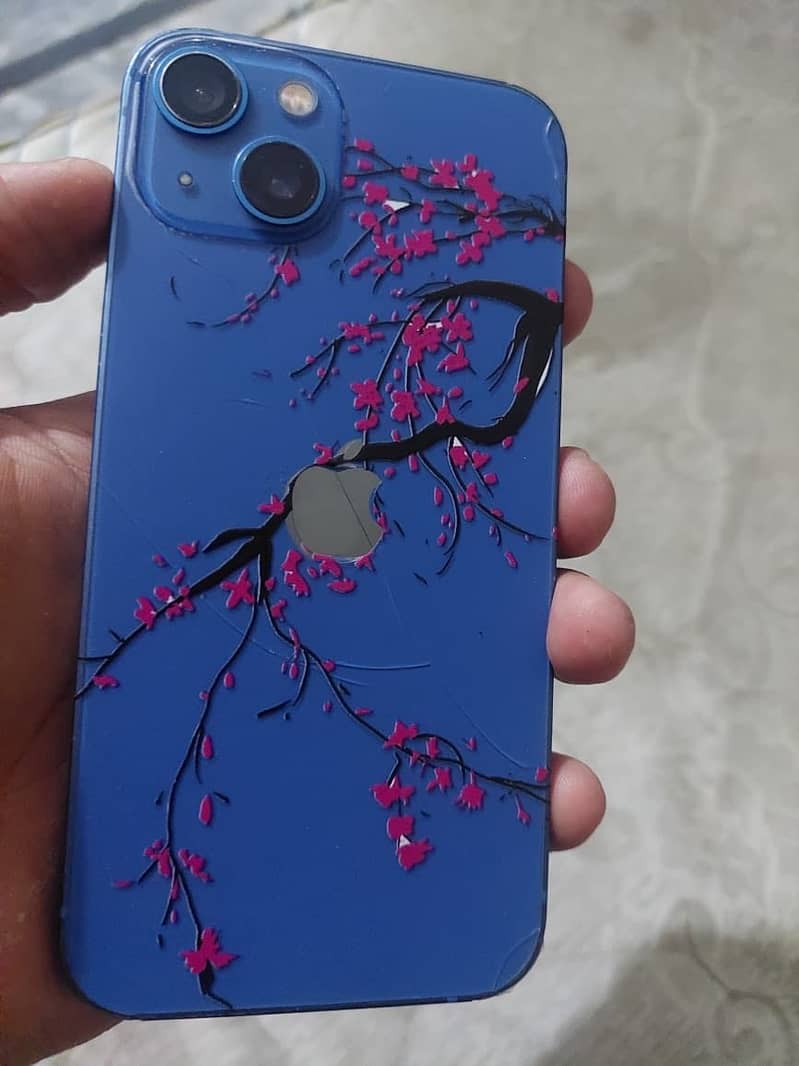 Apple iPhone 13 0