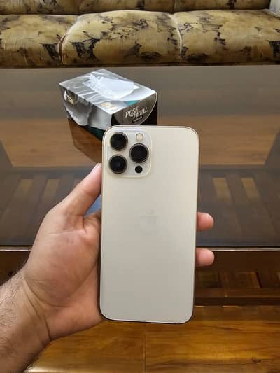 Apple iPhone 13 Pro Max ( PTA Approved )