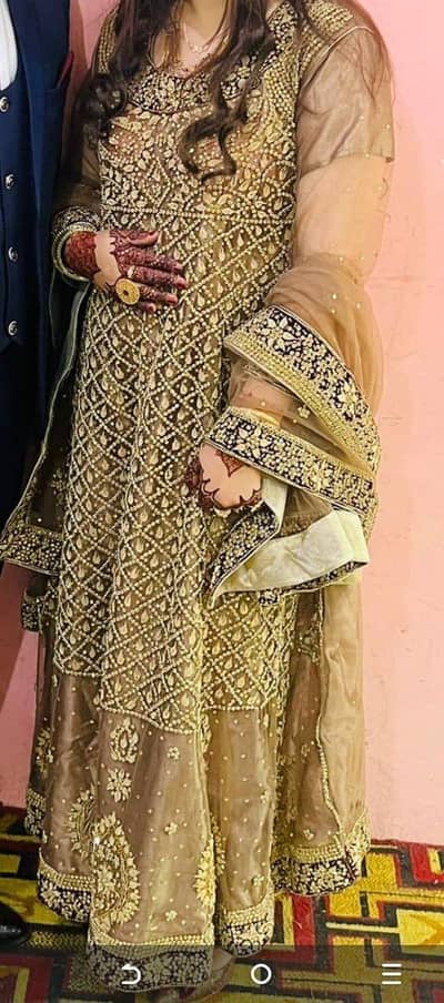 walima maxi