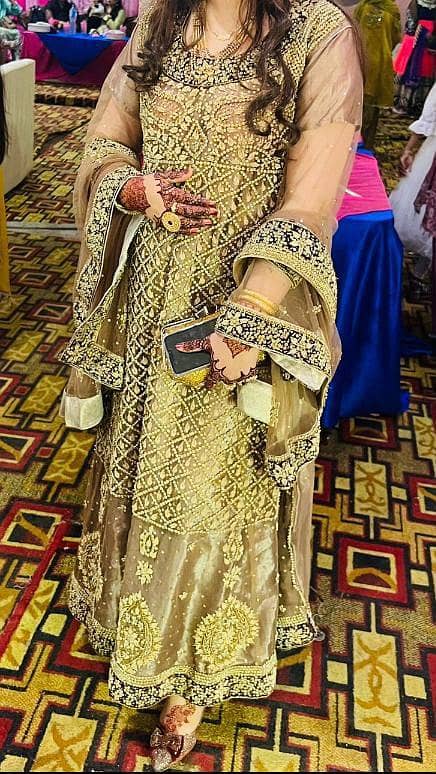 walima maxi 2