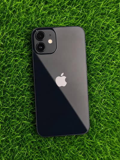Apple iPhone 12