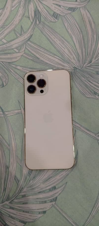 Apple iPhone 13 Pro Max