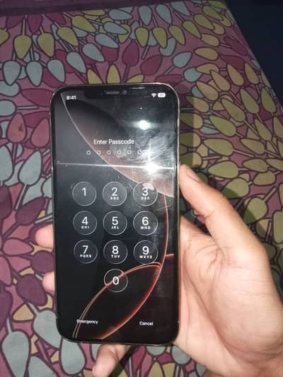 Apple iPhone 12 Pro Max