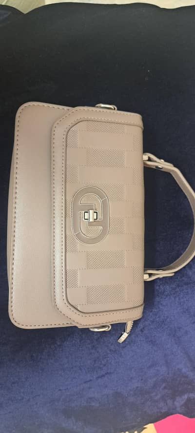 ladies hand bag