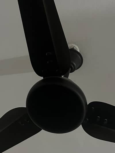 New Fan for sale