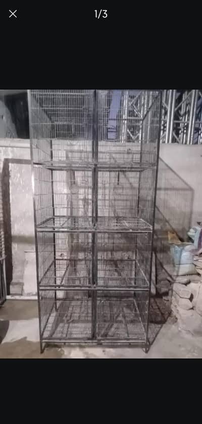 Birds Cage