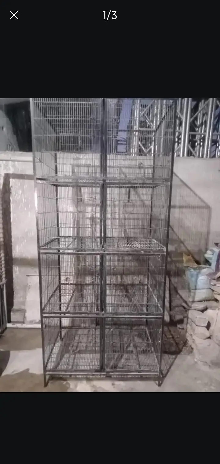 Birds Cage