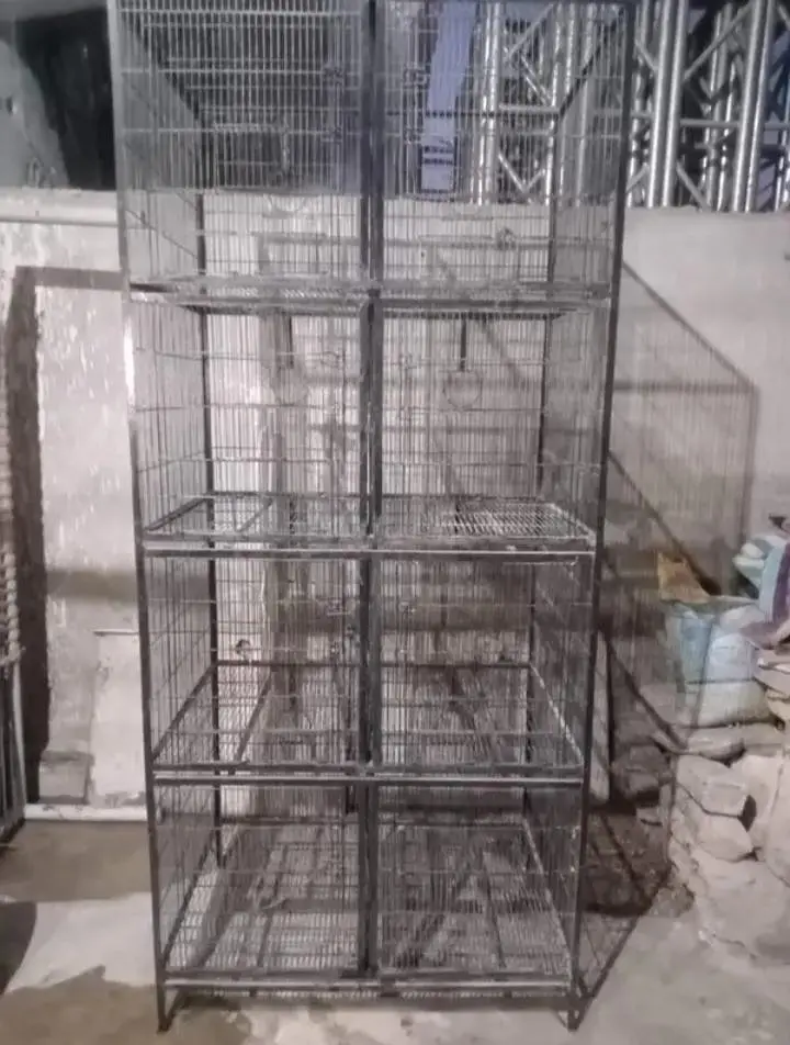 Birds Cage — photo 2