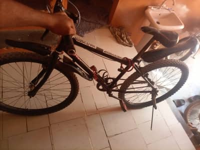 Cycle