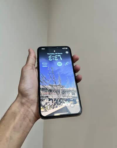 Apple iPhone XS Max