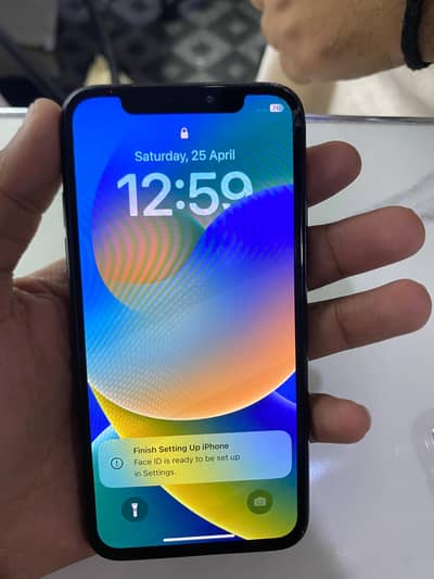 Apple iPhone X