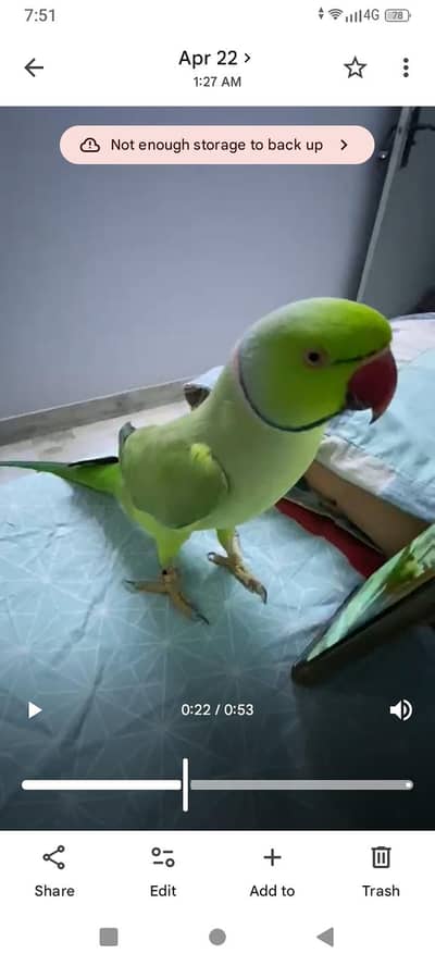 tamed and talking arjant sale karnahe pese fnf he face to face talking