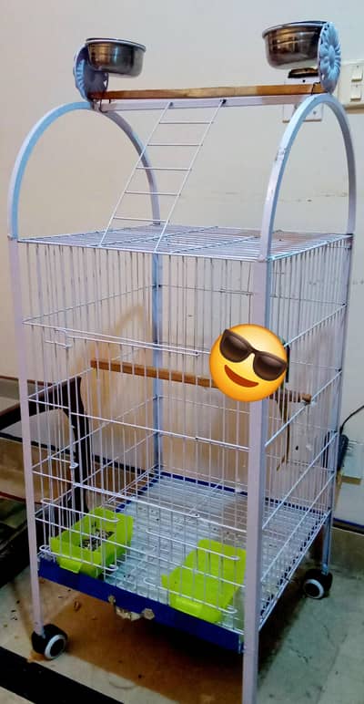 raw parrot CAGE