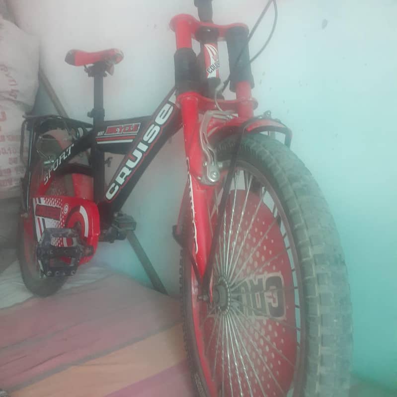 bicycle 2
