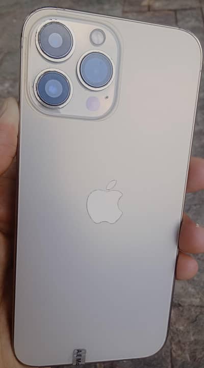 Apple iPhone 13 Pro Max