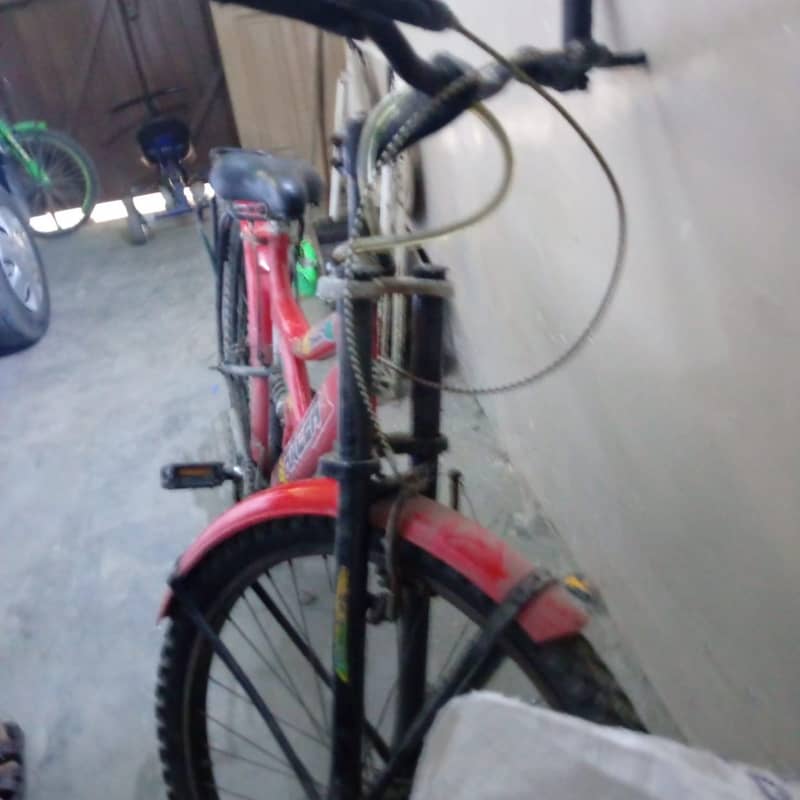 bicycle Red 7