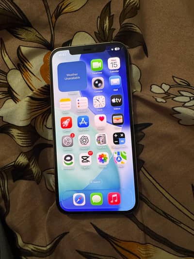 Apple iPhone 12 Pro Max