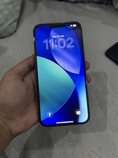 Apple iPhone 13 Pro Max