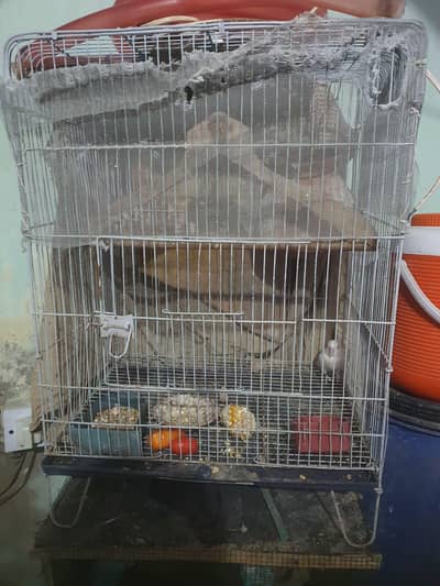 2 birds Cage ( WhatsApp 03172868707 )