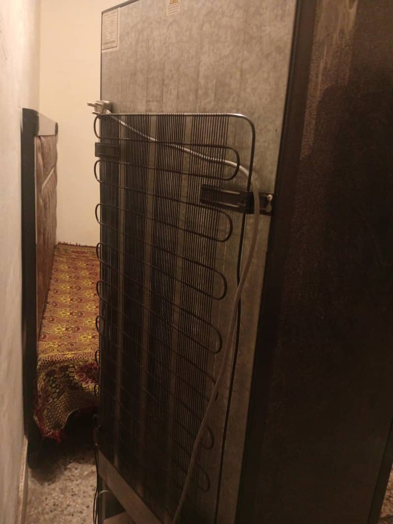 Fridge 6