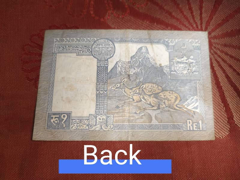 Different Banknotes 1