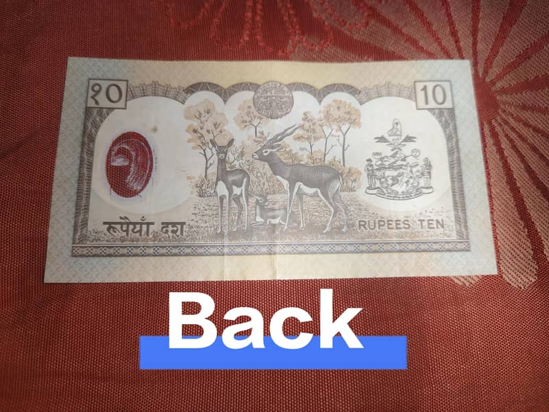 Different Banknotes 3