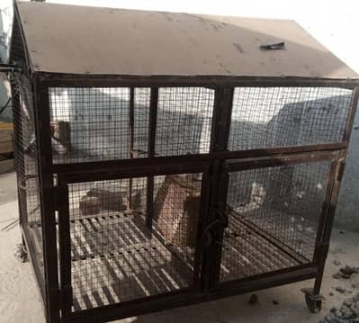 cage for Bird and hen