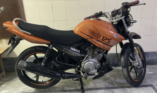 Yamaha ybr 125g (2024) brand new (03060645249)