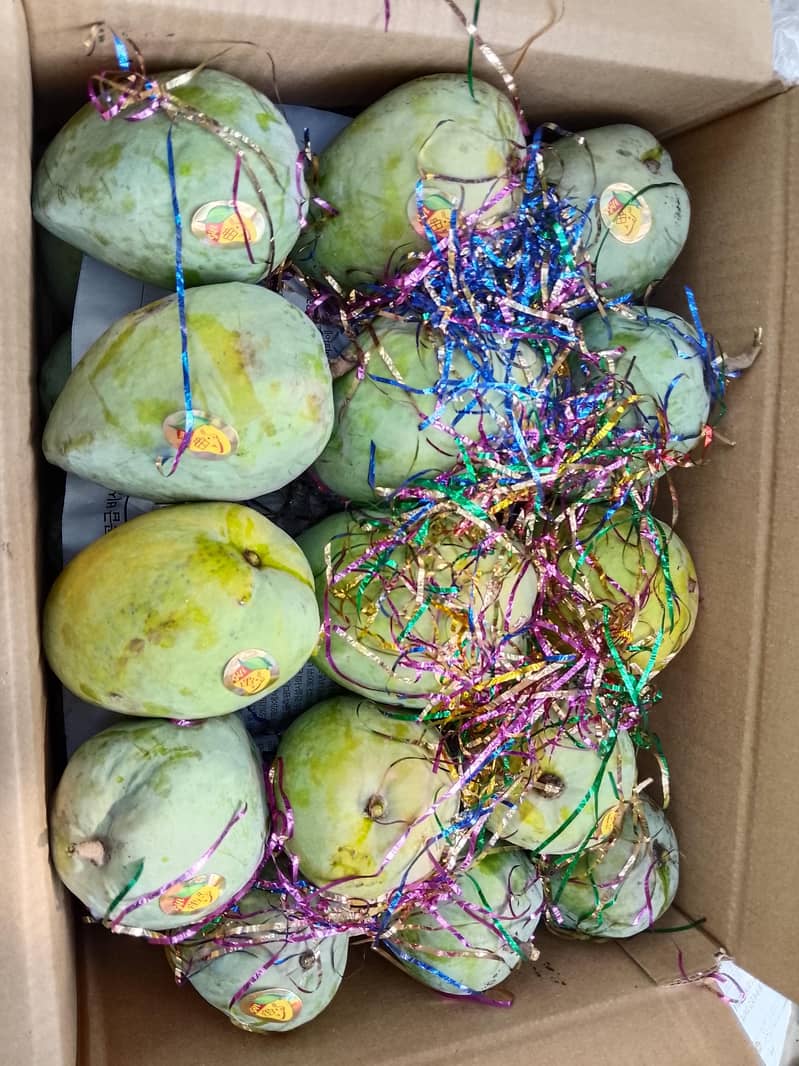 Mangos  7