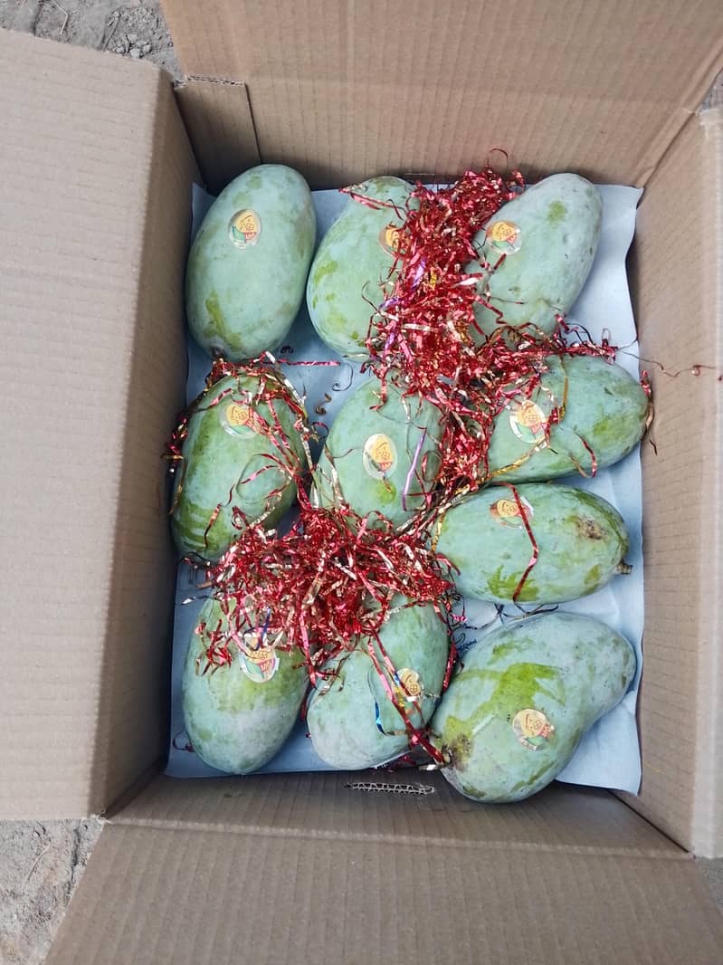 Mangos  8